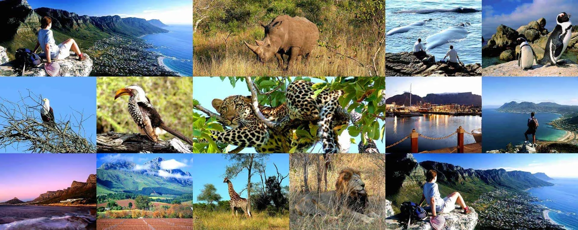 Afrique - Terre des Continents