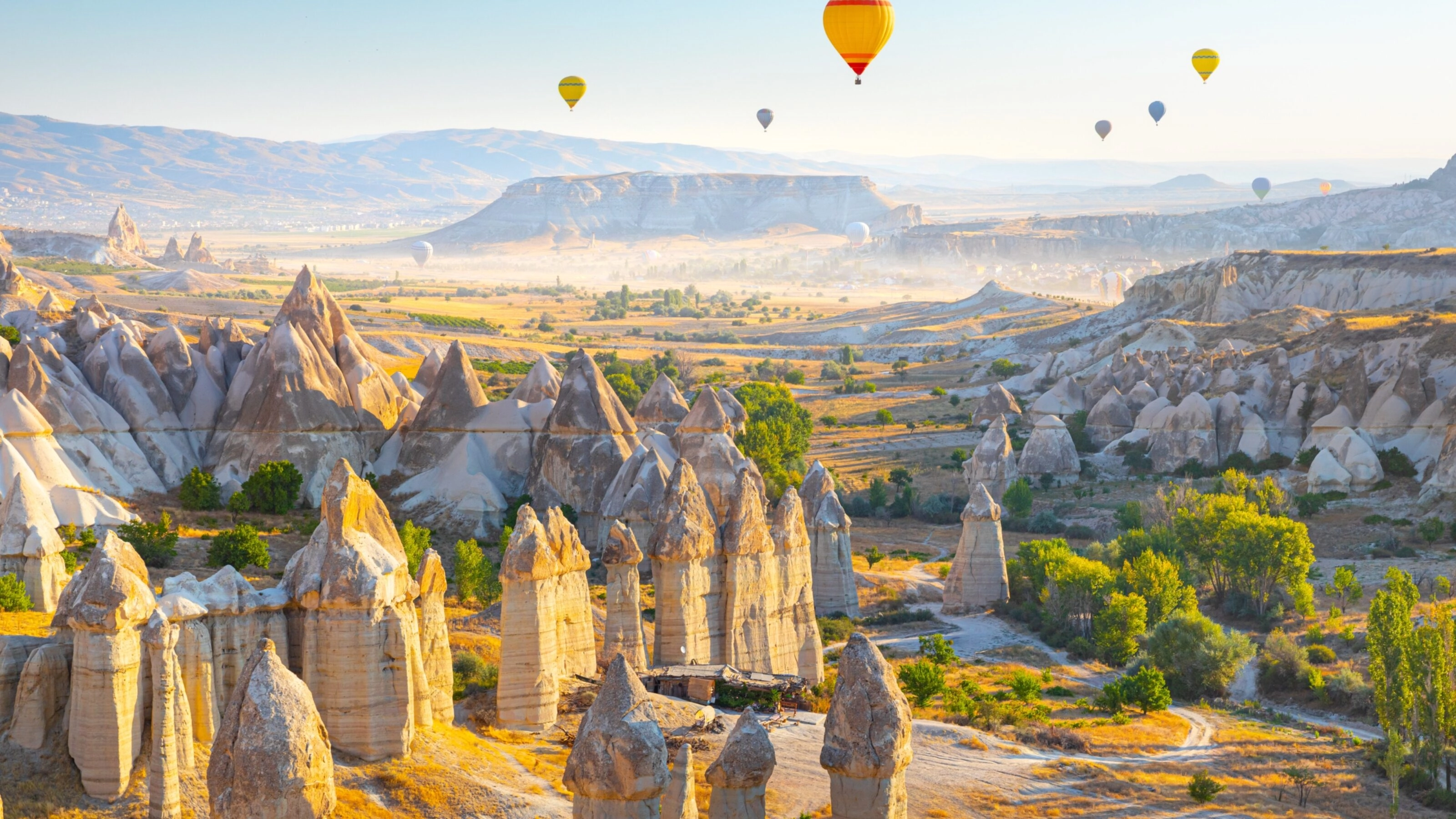 Circuit International